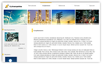 New Energy Ltd website